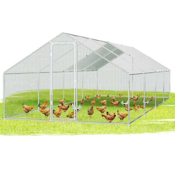 BMOT Hühnerstall Freilaufgehege Verzinkter Stahl mit Dachplane 3*8*2m